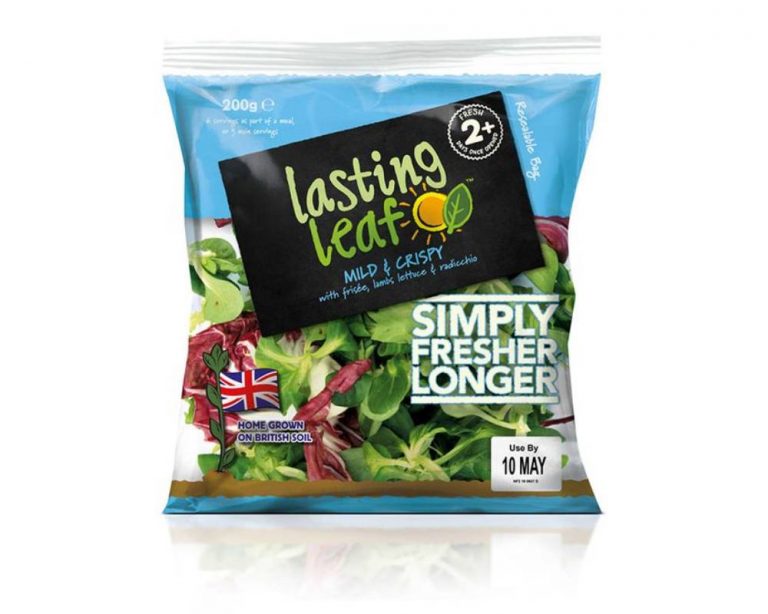 11+ Creative Salad Packaging Design 2021 Design and Packaging