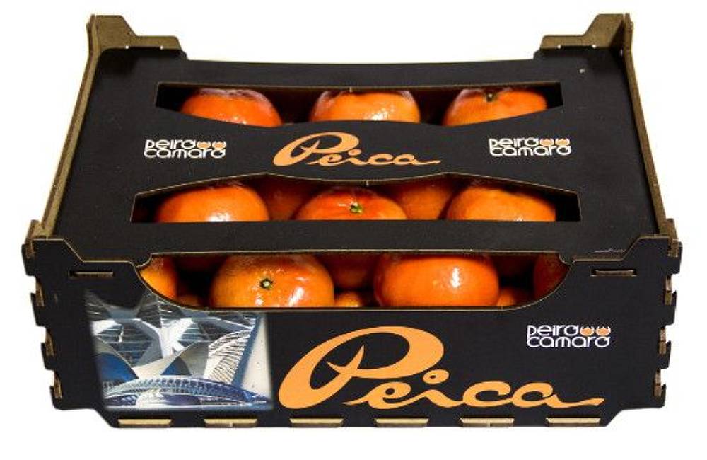 creative fruit packaging design 