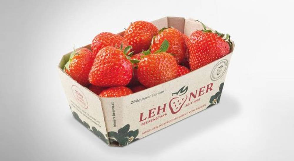 fruit packaging design ideas