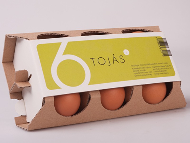 eco friendly egg packaging design