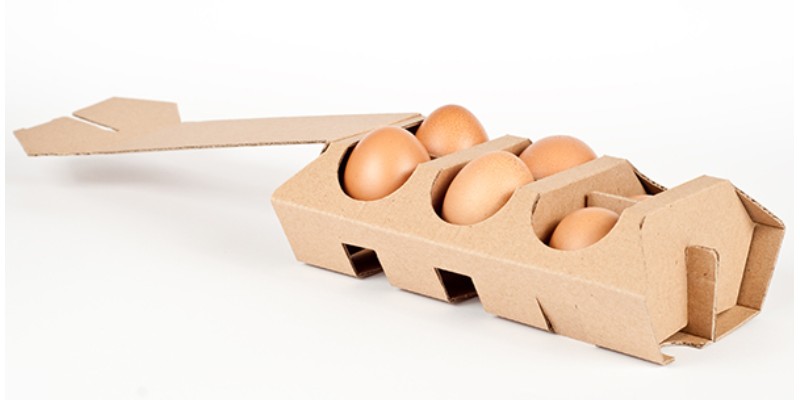 eco friendly egg packaging design