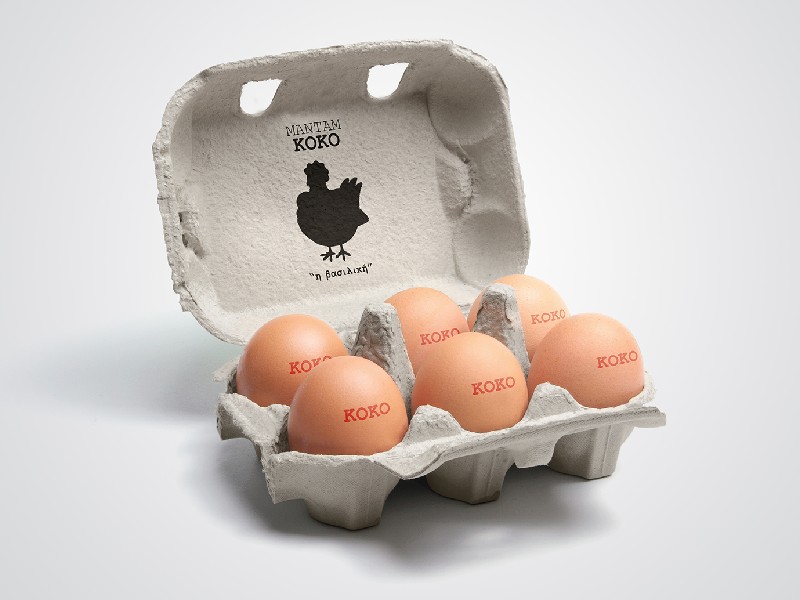 eggs packaging design